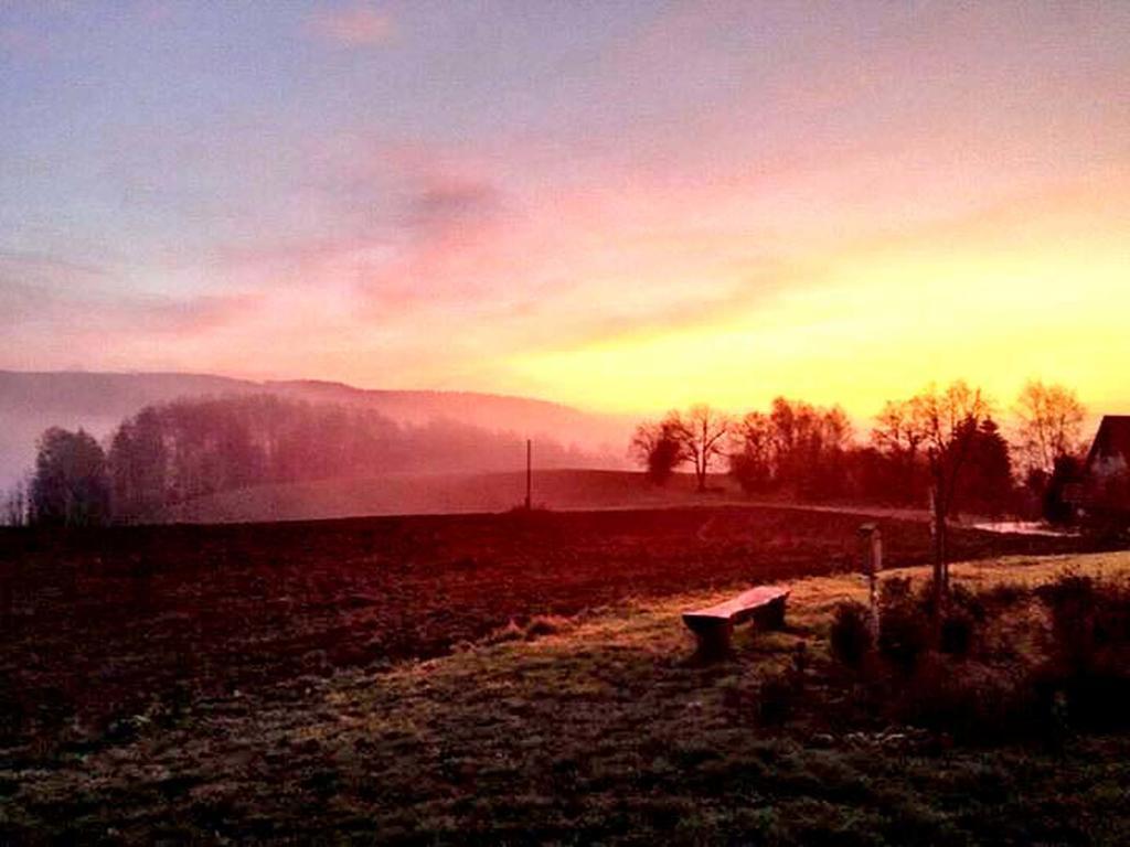 Penzion Na Cervenem Potoce Králíky エクステリア 写真